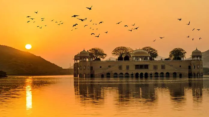 The Pink City